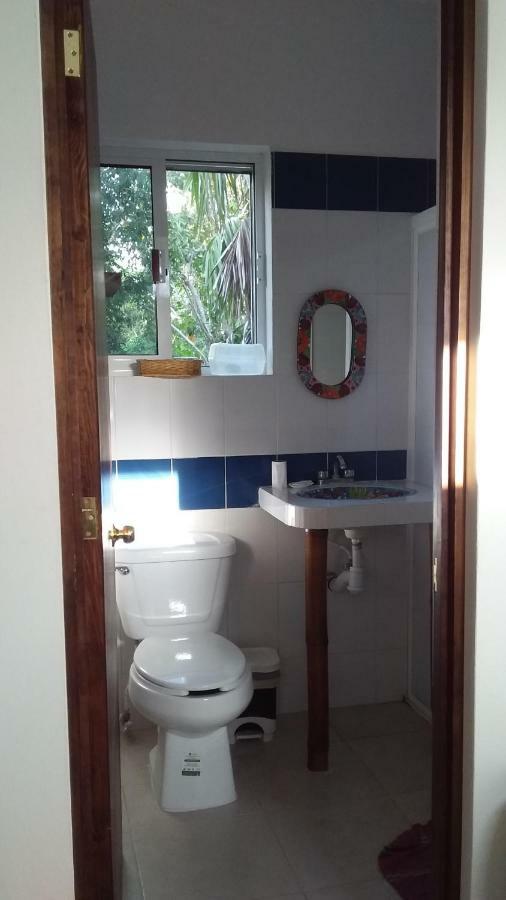 Villa Mini Pini Bird Watching Loft Cozumel Exterior foto