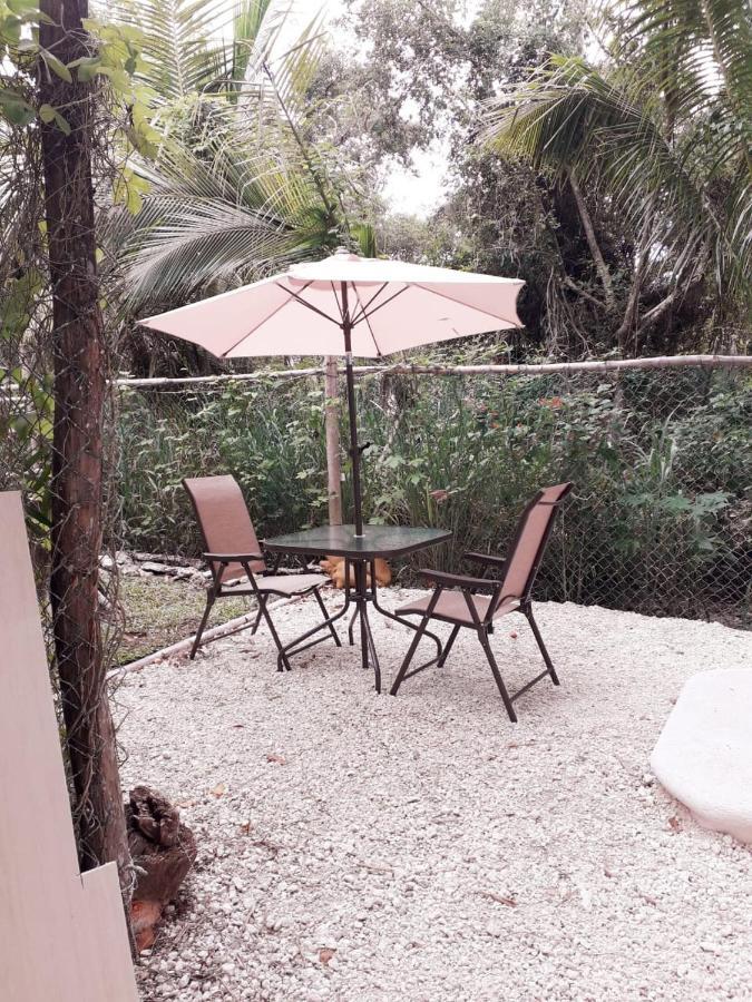 Villa Mini Pini Bird Watching Loft Cozumel Exterior foto