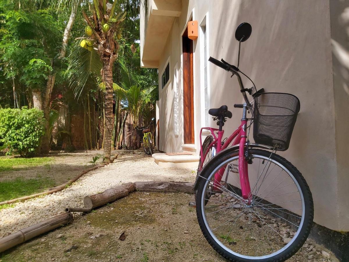 Villa Mini Pini Bird Watching Loft Cozumel Exterior foto