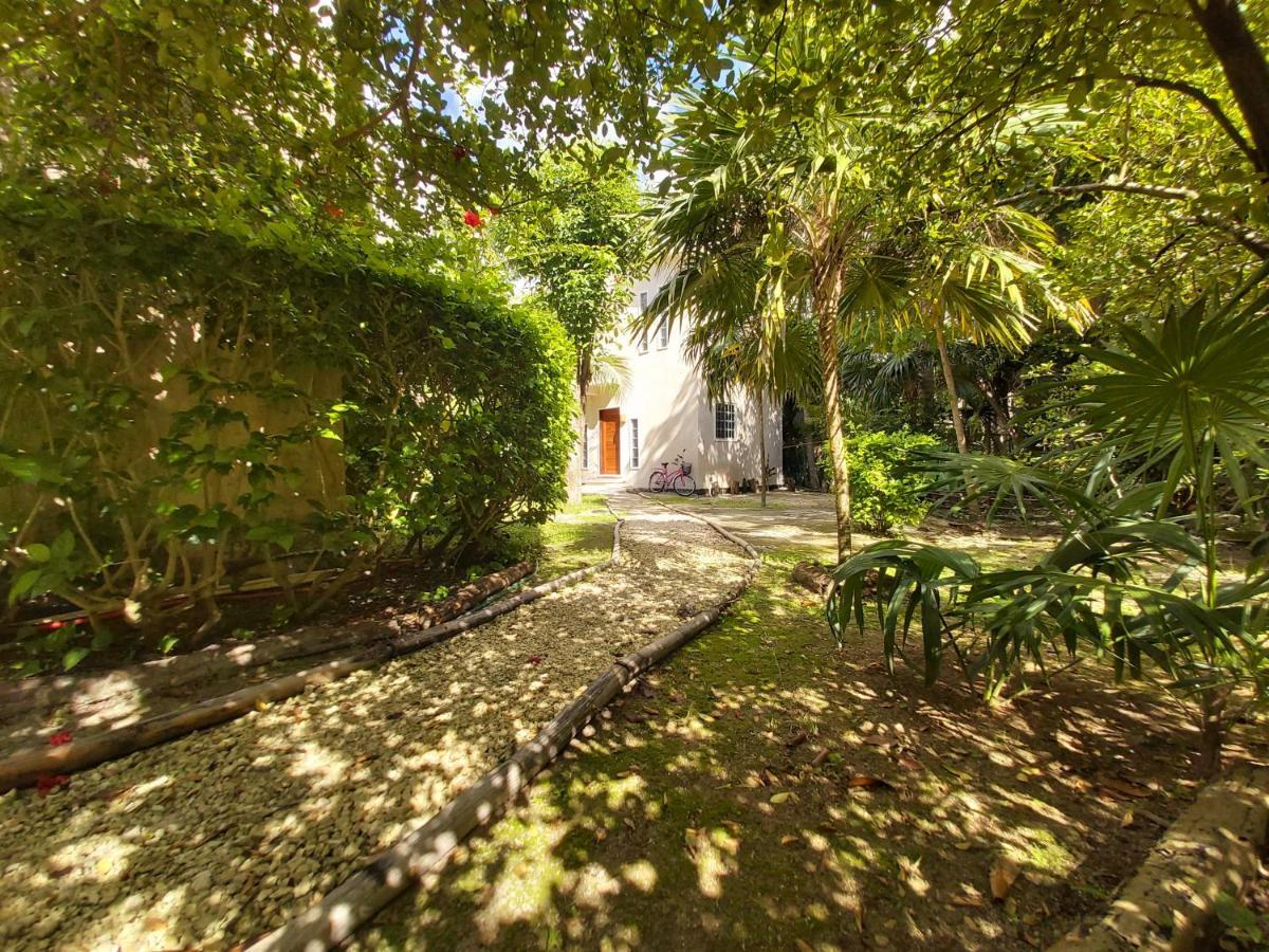 Villa Mini Pini Bird Watching Loft Cozumel Exterior foto